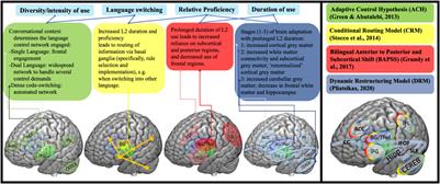 Bilingualism and Aging: Implications for (Delaying) Neurocognitive Decline